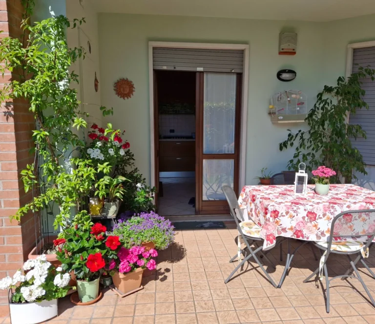 Cute Home Garden Ideas